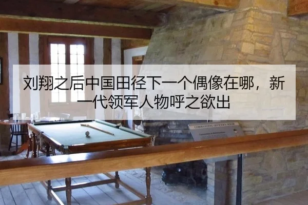 刘翔之后中国田径下一个偶像在哪，新一代领军人物呼之欲出