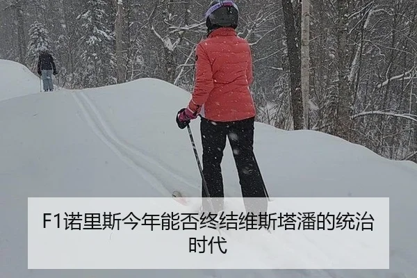 F1诺里斯今年能否终结维斯塔潘的统治时代